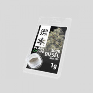 Plant Of Life | Sour Diesel 22% CBD Jelly